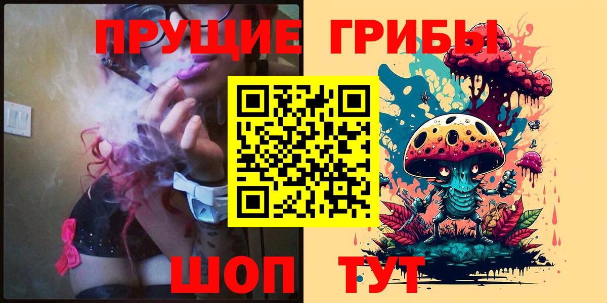 Псилоцибиновые грибы Psilocybe Воскресенск
